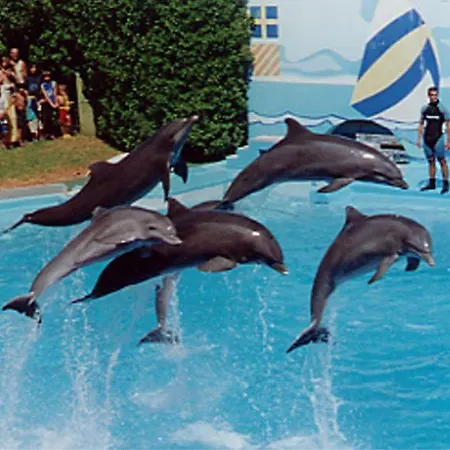 Apartamento Casa Oksana