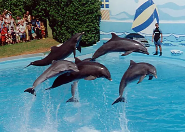 Apartman Casa Oksana